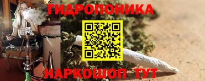 дмт Краснодар