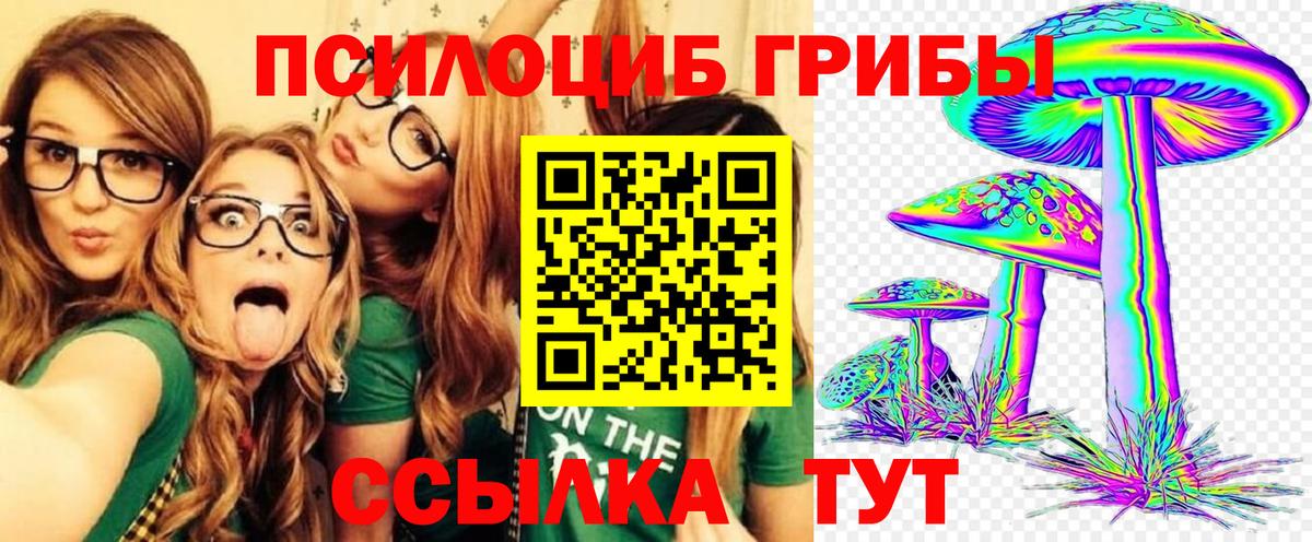 Галлюциногенные грибы GOLDEN TEACHER Ставрополь